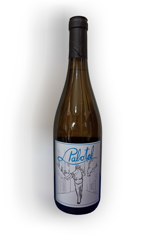 imagen de botella vino palotel que se ofrece en la cata de vinos